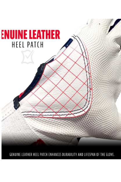 BASEBALL & SOFTBALL Franklin Classic XT Batting Gloves Franklin