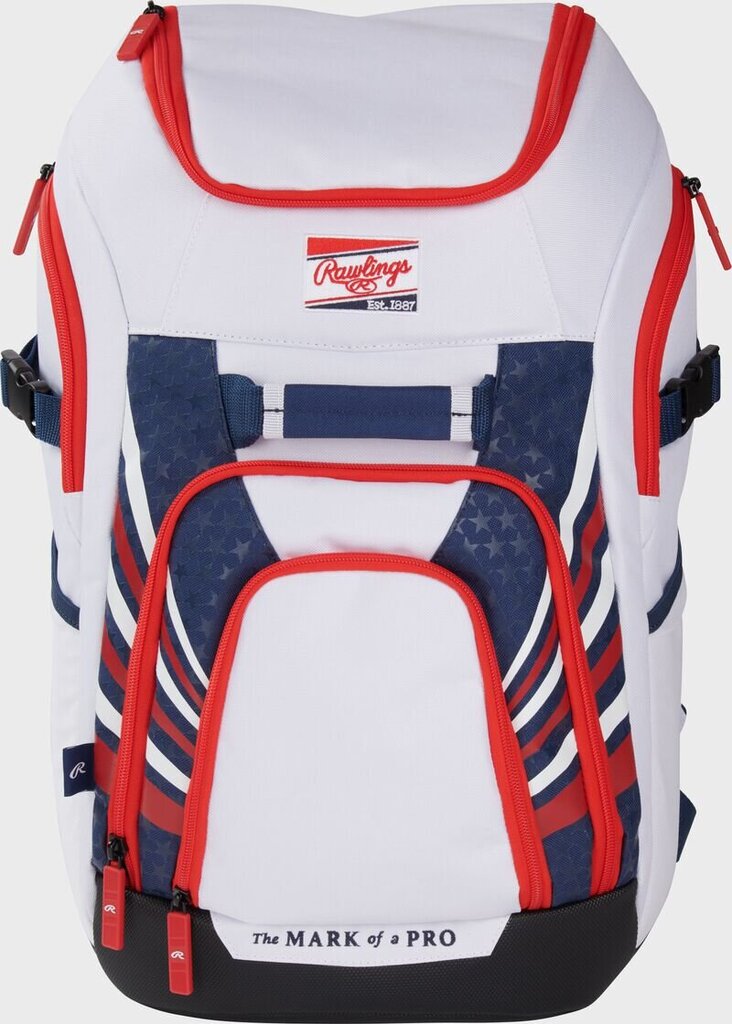 Rawlings Franchise 2 Players Backpack Bat Bag (Multiple Colors)