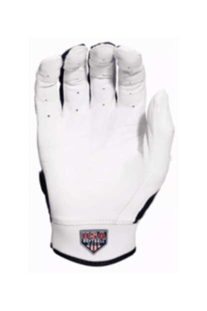 Franklin Franklin CFX USA Softball Fastpitch Softball Batting Gloves at 2nd String Sports Stuarts Draft VA