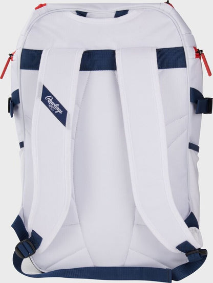 Rawlings Franchise 2 Players Backpack Bat Bag (Multiple Colors)