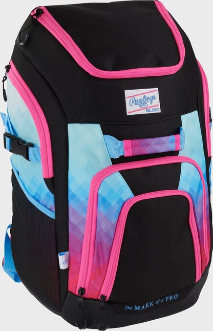 Rawlings Franchise 2 Players Backpack Bat Bag (Multiple Colors)