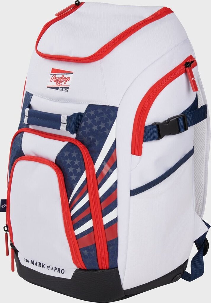 Rawlings Franchise 2 Players Backpack Bat Bag (Multiple Colors)